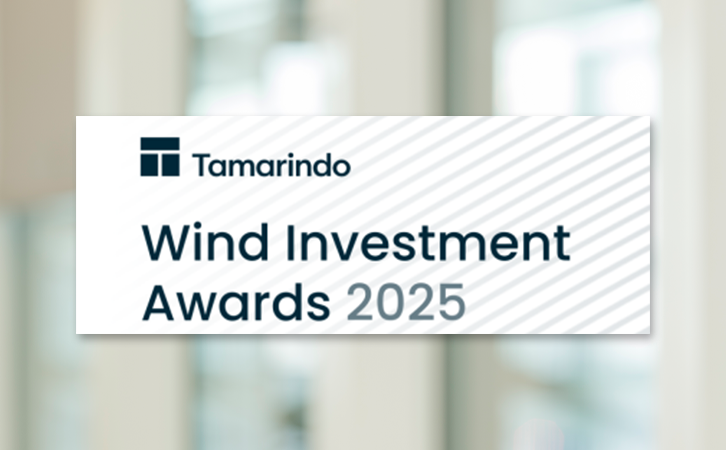 Tamarindo Wind Investment awards 2025