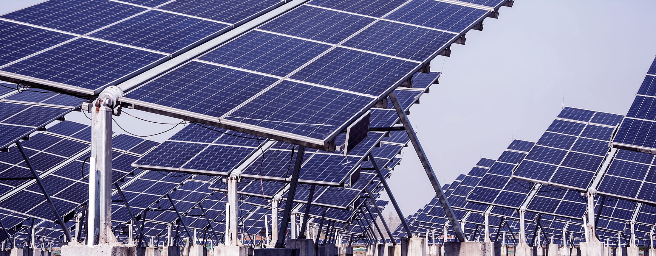 Project_sonnedix_case_study_solar_farm_banner