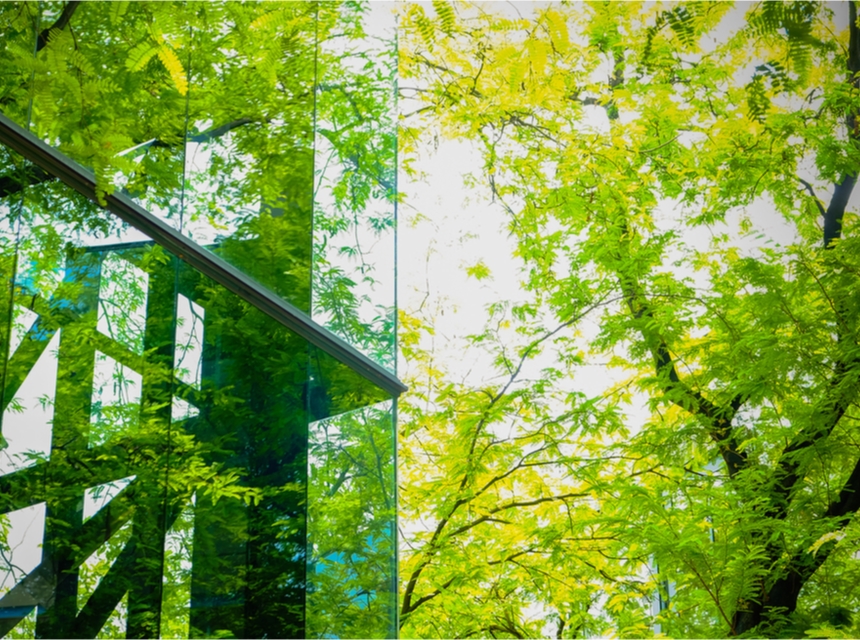 Cover for Sustainable Finance