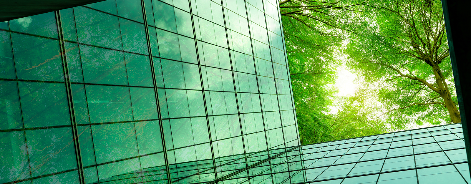 green climate fund